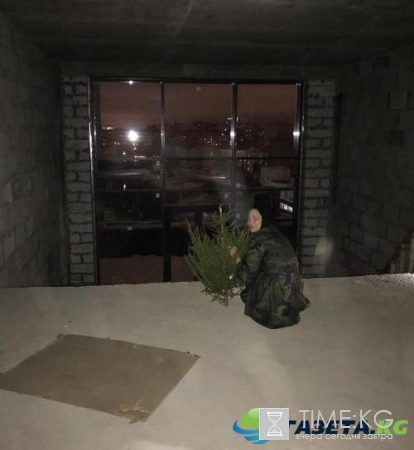 Новости шоу-бизнеса России сегодня, 31.12.2016: тайны звезд, последние новости знаменитостей на сегодняшний день, 31 декабря