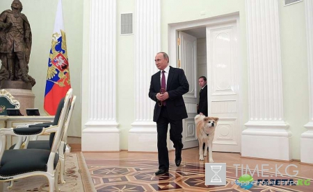 Путин пришел с подаренной собакой Юмэ на встречу с журналистами телекомпании «Ниппон» и газеты «Иомиури»