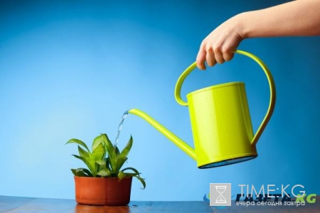 Ритуалы по привлечению богатства в Новый 2017 год