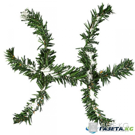 С первыми петухами: прогноз от астролога на 2017 год