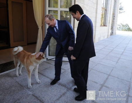 Собака Путина породы акита-ину Юмэ напугала журналистов