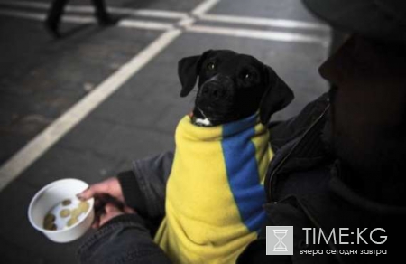Ужасающее предсказание МВФ: украинское правительство не может прийти в себя от шока
