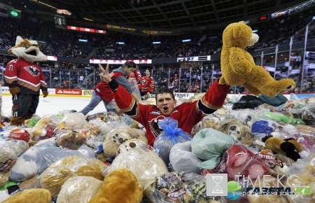 В Канаде фанаты забросали хоккеистов плюшевыми медведями (видео)