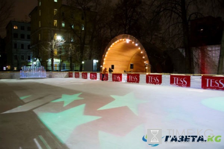 В Саду им. Баумана установили интерактивный арт-объект «Ледяной орган»