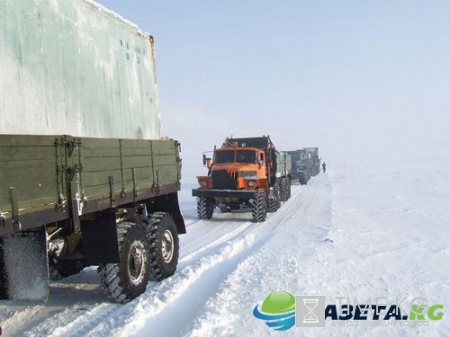 В Якутии давят медведя Уралами видео