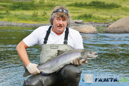 Вам и не снилось: самые нелепые достижения 2016-го