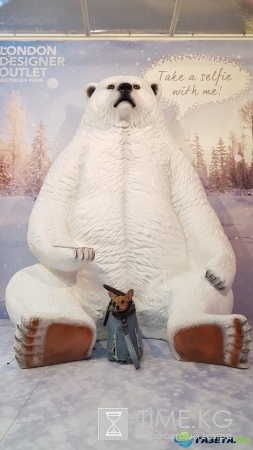 Волшебное Рождество в Лондоне и Вене. Маленький фоторепортаж.