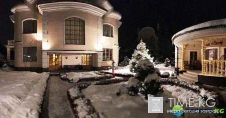 Забыв надеть трусики, Анастасия Волочкова показала свою новогоднюю елку