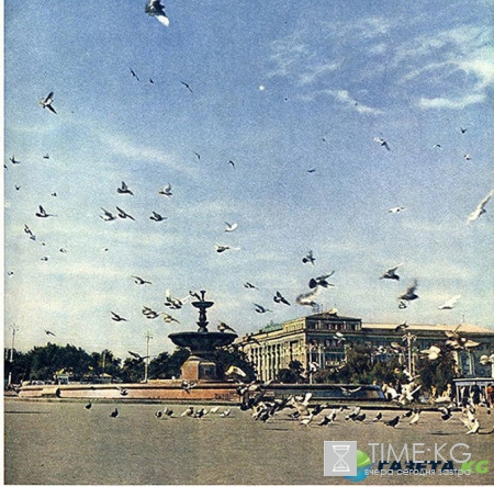 Замечательный фотоальбом с видами города Донецка — «Донецк 1962»