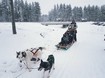 Ирма Витовская свозила сына и мужа в гости к Санта-Клаусу (фото)
