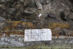 Сбербанк потратит на реставрацию грифонов 19 млн рублей
