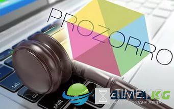 Система Prozorro чуть не оставила без обезьяны детей города Сумы