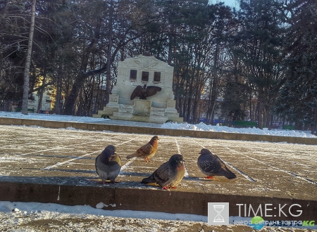 | Мой мир в фотографиях