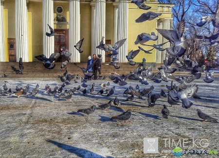 | Мой мир в фотографиях
