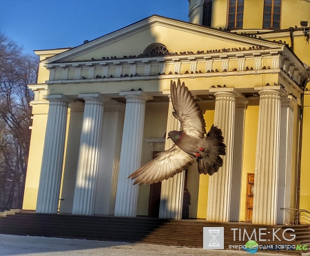 | Мой мир в фотографиях
