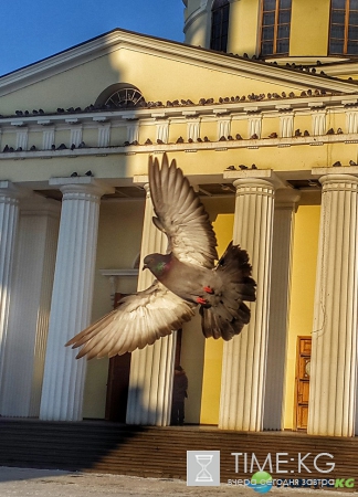 | Мой мир в фотографиях