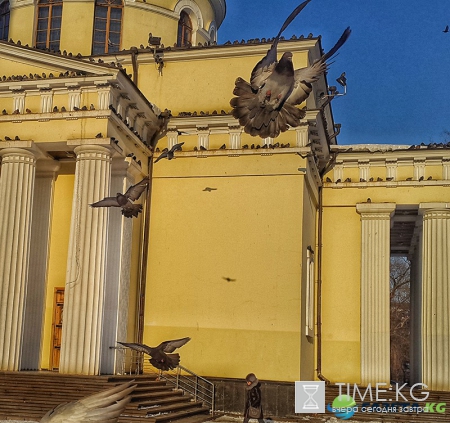 | Мой мир в фотографиях