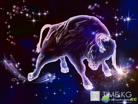 Год Красного Петуха: Гороскоп для всех знаков зодиака на 2017 год