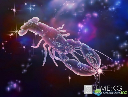 Год Красного Петуха: Гороскоп для всех знаков зодиака на 2017 год