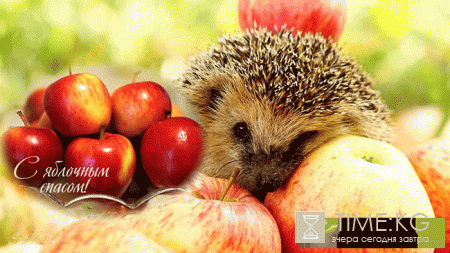 Какого числа Яблочный Спас в 2017 году?