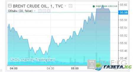 Курс валют на сегодня, 23 января 2017 года в России: ЦБ РФ поднял курсы доллара и евро на сегодня, 23 января 2017