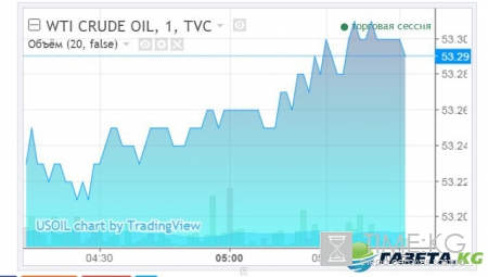 Курс валют на сегодня, 23 января 2017 года в России: ЦБ РФ поднял курсы доллара и евро на сегодня, 23 января 2017