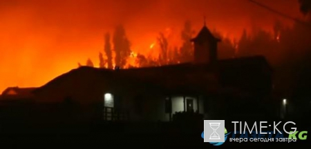 Лесные пожары в Чили сожгли небольшой город: выжжено 100 гектаров земли