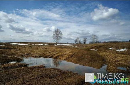Лунный посевной календарь садовода-огородника на март 2017 года