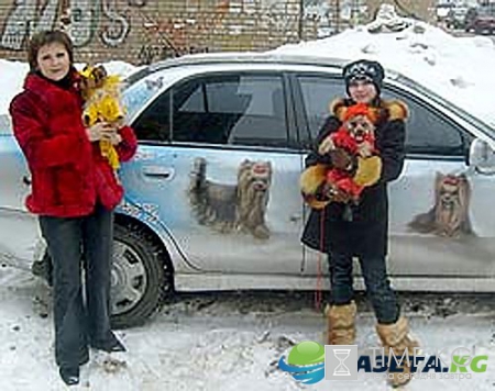 Невероятно! Автомобиль с йорками. Это нужно видеть!