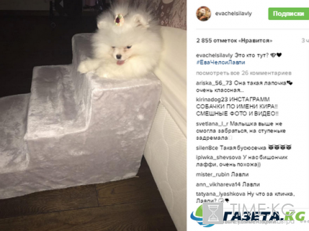 Ольга Бузова дала имя третьей собаке и переименовала аккаунт в социальной сети