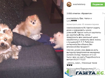 Ольга Бузова дала имя третьей собаке и переименовала аккаунт в социальной сети