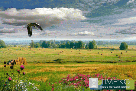 Погода в Беларуси на лето 2017 года от Гидрометцентра