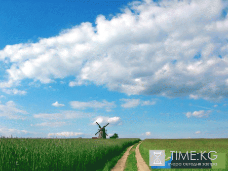 Погода в Беларуси на лето 2017 года от Гидрометцентра