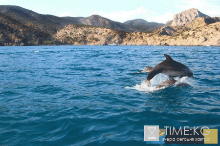 Погода в Крыму на лето 2017 года от Гидрометцентра