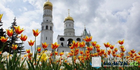 Погода в Москве и области в мае 2017 года