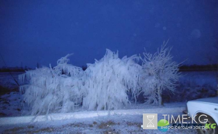 Погода в Нижнем Новгороде и области: морозы до -40 придут в область уже завтра