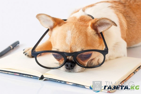 Работа над ошибками: как выстроить отношения с шефом и заставить коллег себя уважать