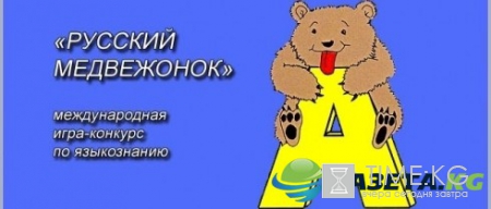 Русский медвежонок 2016-2017: официальный сайт опубликовал результаты