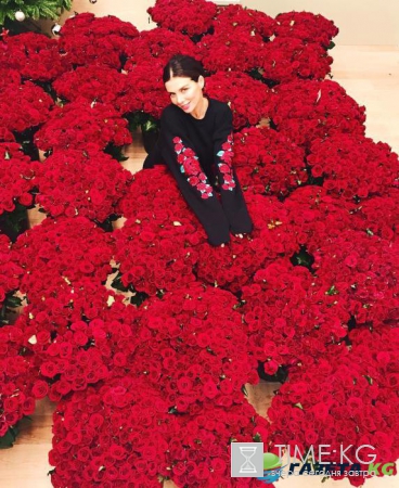 Шоу-бизнес сегодня, 16 января 2017: новости, тайны звезд и слухи о личной жизни знаменитостей на 16 января