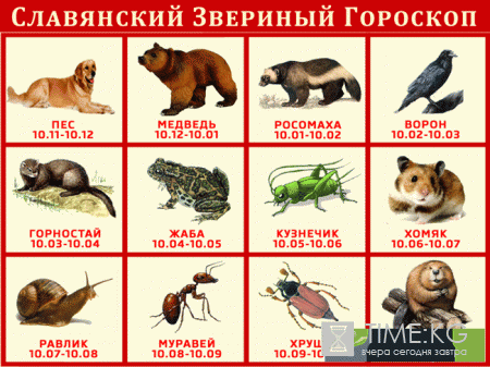Славянский гороскоп на 2017 год по знакам зодиака и по году рождения