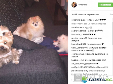 Стало известно, как Ольга Бузова назвала свой живой подарок