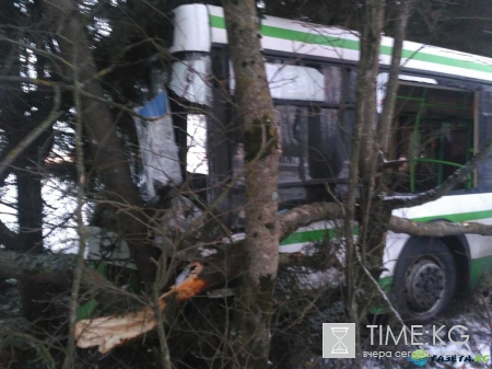 В жутком ДТП с автобусом на трассе «Нарва» один человек погиб, четыре пострадали