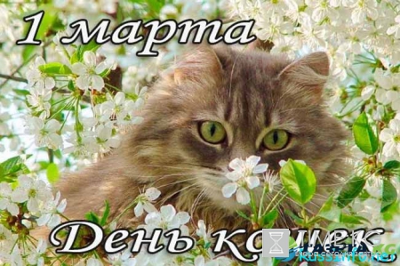 Яркий календарь на март 2017 года (распечатать, скачать)
