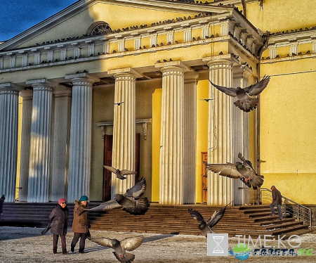 Завораживающее зрелище! Голуби у кафедрального собора в Кишиневе.