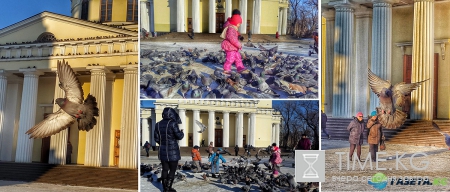 Завораживающее зрелище! Голуби у кафедрального собора в Кишиневе.
