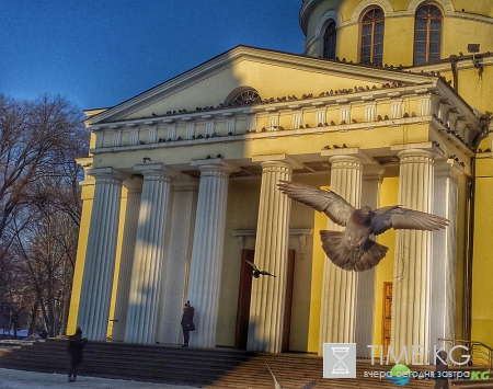 Завораживающее зрелище! Голуби у кафедрального собора в Кишиневе.