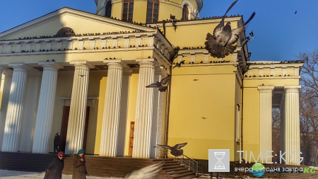 Завораживающее зрелище! Голуби у кафедрального собора в Кишиневе.