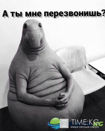 Жди меня, и я вернусь: как новый мем взорвал Интернет