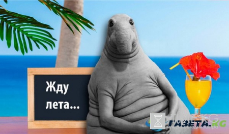 Жди меня, и я вернусь: как новый мем взорвал Интернет