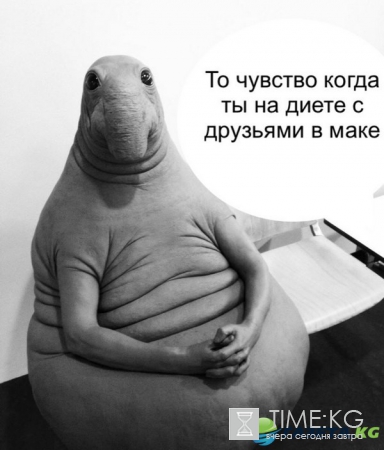 Жди меня, и я вернусь: как новый мем взорвал Интернет